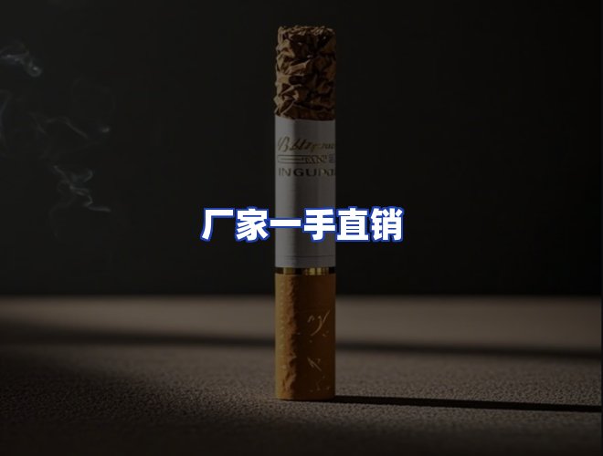 专业团队